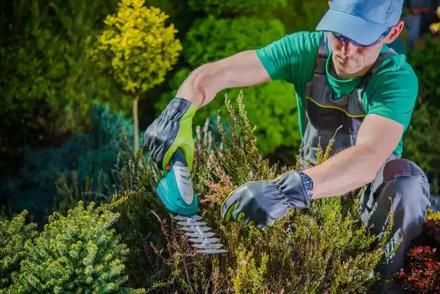 landscaping services Kinsman Center